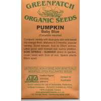 Pumpkin Seeds (Baby Blue)