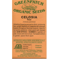 Celosia Seeds (Red)
