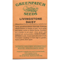 Livingstone Daisy Seeds