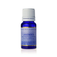 Lavender Oil
