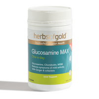Glucosamine MAX 90 Tablets