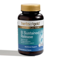 B Sustained Release (60 Tablets)