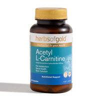 Acetyl L-Carnitine