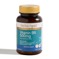 Vitamin B5 500mg