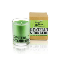 Candle Kiwifruit & Tangerine